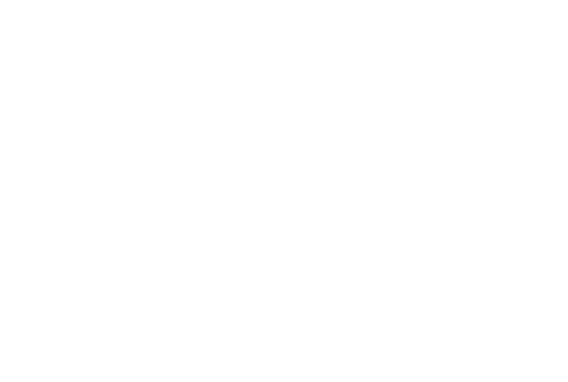 Voice Express Logo White Transparent